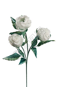 白色背景上的人造白玫瑰图片