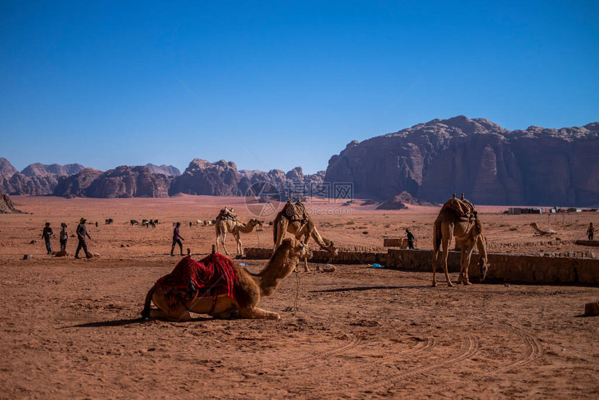 骑骆驼穿越沙漠景观的人图片