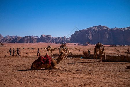 骑骆驼穿越沙漠景观的人图片