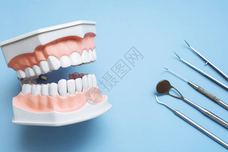 蓝色背景上的牙医工具和人工下巴牙科护理和图片