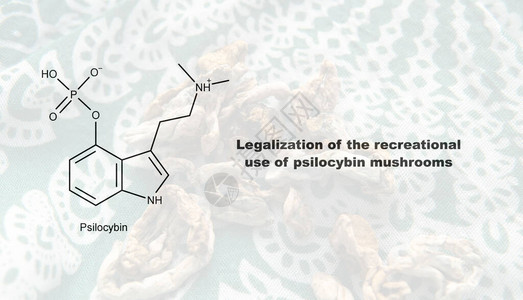 赛洛西宾蘑菇赛洛西宾的娱乐用途合法化及其图片