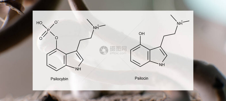 psilocybin和psilocin对人们的心理和身体健康的医学影响psilocybin蘑菇的娱图片