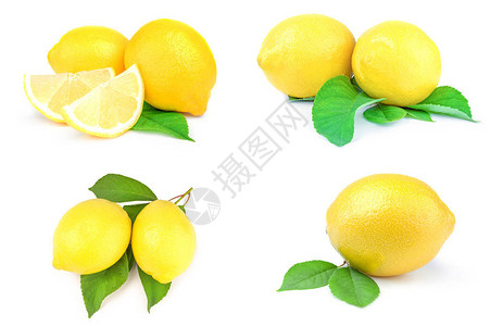 白色背景的柠檬集合Clipp图片