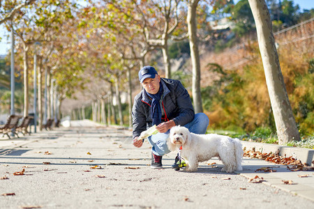 人白狗散步公园图片