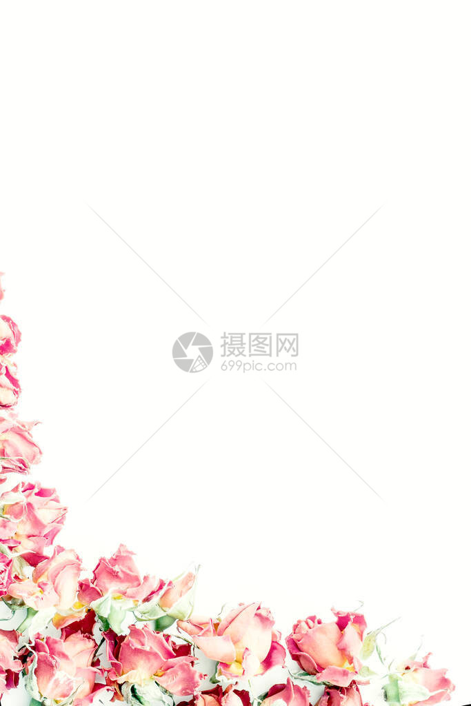 春花或夏花盛调制花朵bokeh花背景图片
