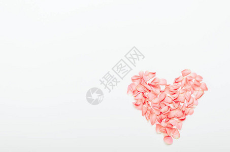 白色背景上的构成心形珊瑚花瓣节日妇女节情人节母亲节的花卉背景复制空间图片