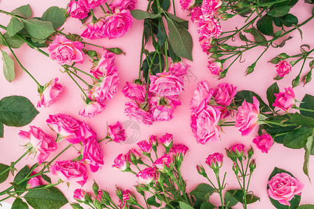 粉红玫瑰花的朵模式图片