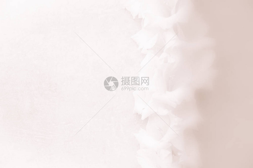 中背景由Gladiolus鲜花创造快乐的教师图片
