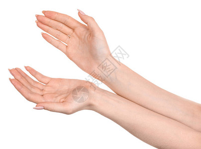 女白种人手孤立的白色背景显示手势持有东西或拿图片