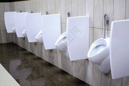 男厕所中的白色小便池公共厕图片