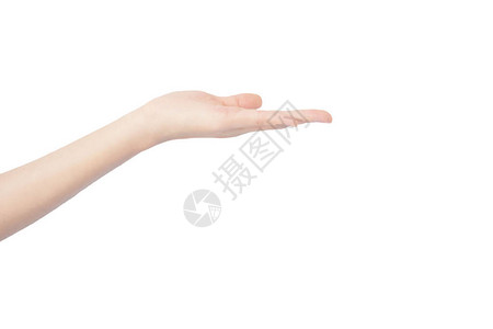 女人的手伸着手伸出手用孤立的白色图片