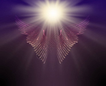 你的守护天使的指引之光图片
