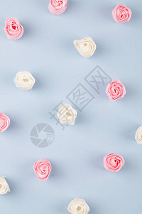 蓝色背景上的粉红和白亮玫瑰平面顶视图上方视图图片