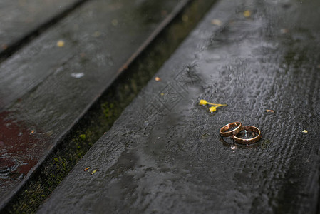 湿木表面上的金婚戒指躺在雨中图片