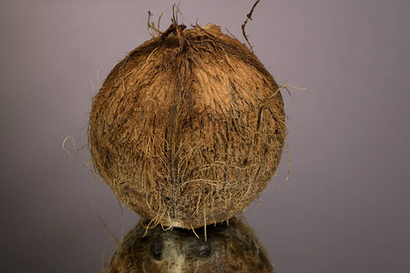 在灰镜表面与反射线隔离的长毛椰子图片