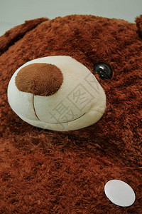 大棕色泰迪熊上白圆的胸图片
