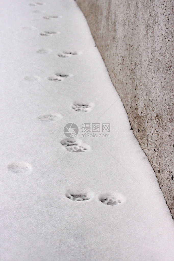 雪地壳足迹指纹痕图片