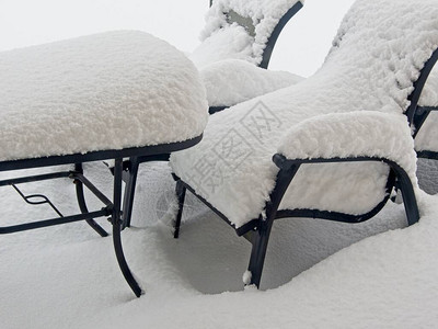 不列颠哥伦比亚州冬季暴风雨过后被雪覆图片