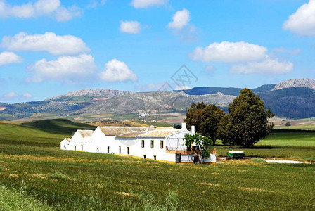 西班牙安达卢西亚西班牙西欧马拉加省隆达地区农村后山图片