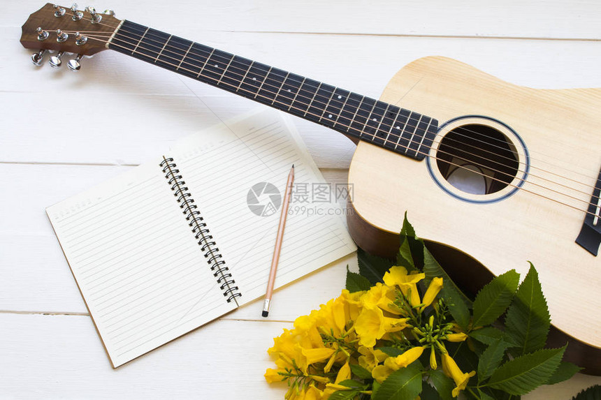 生活方式女吉他和笔记本规划师在夏天放松图片