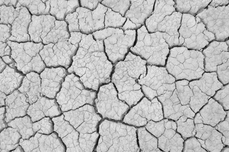 干旱季节的裂缝土壤图片