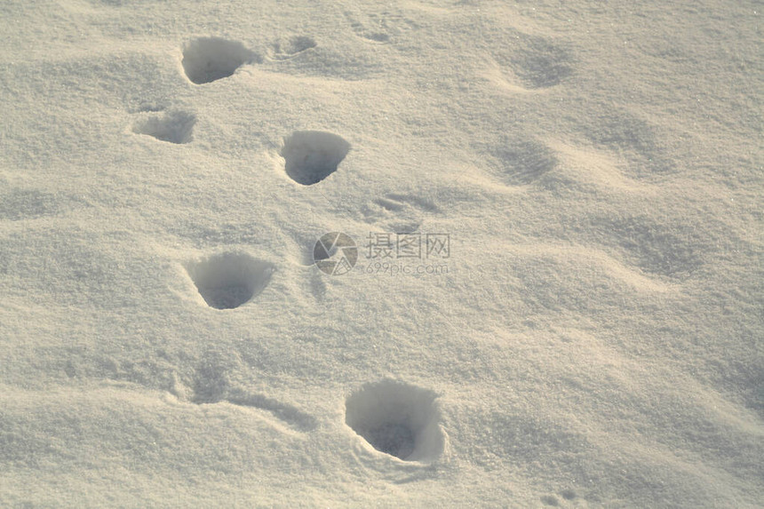 白雪上的脚印有模糊效果壁纸或设计季节背图片