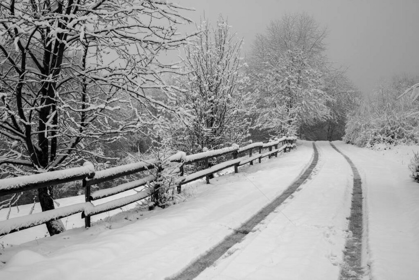 雪中的山路汽车轮胎的痕迹雪中的树木路边雪地里的木栅栏黑白照片雪图片