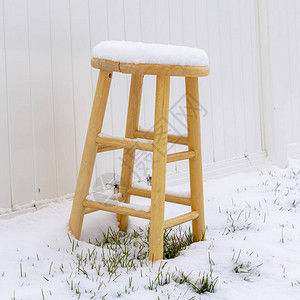 在雪上铺着广场木质凳子图片