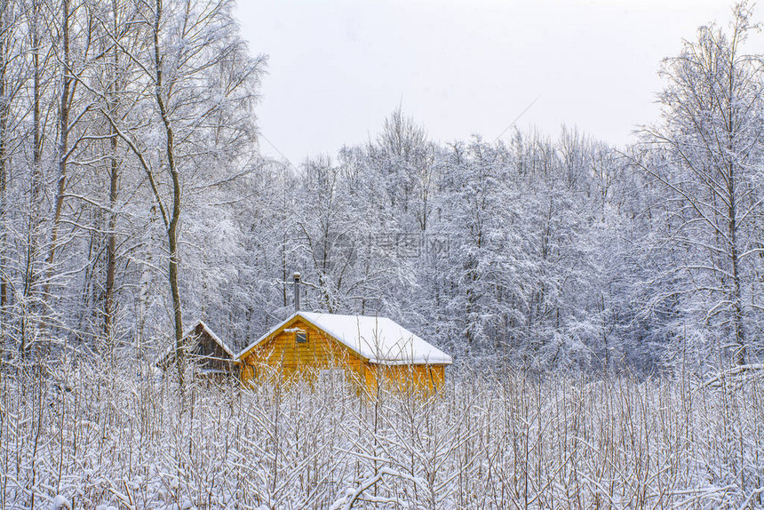 十二月白雪皑的森林中的黄色房子图片