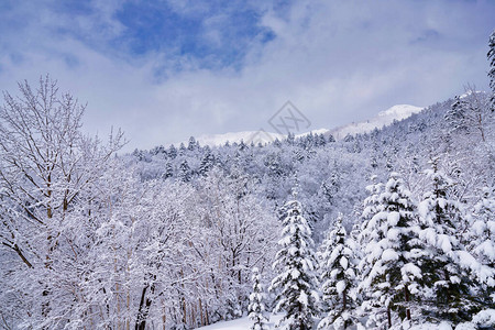 日本北海道的冬山图片