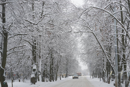 里的雪冬季景观图片