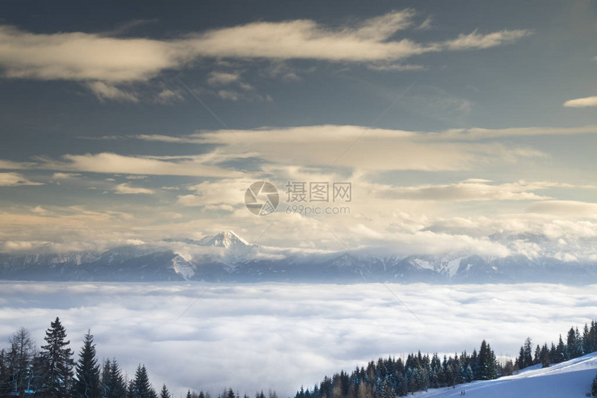 白雪皑的树林中的冬季景观图片