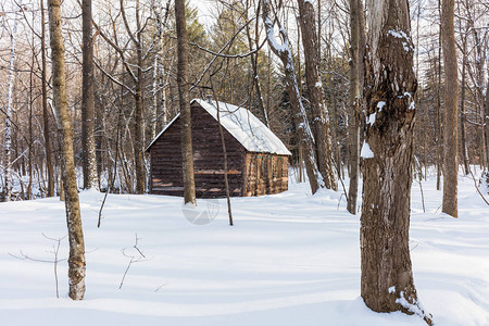 大自然中被雪覆盖的房子的风景照图片