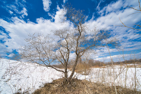 解冻前的北海道景观图片