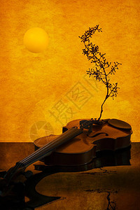 橙色背景与反光表面上的小提琴闷热的音乐图片