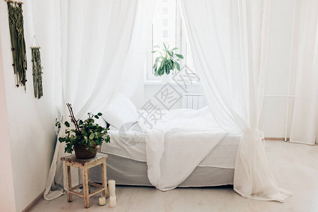 在斯堪的纳维亚风格最起码的卧室树冠床毯子枕头植物中的舒图片