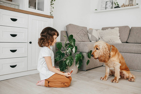 小女孩带狗吃零食并训练她图片