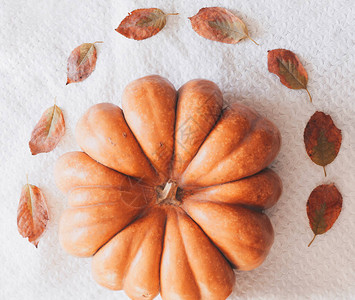 与南瓜在白色桌布的秋天背景舒适的秋天图片