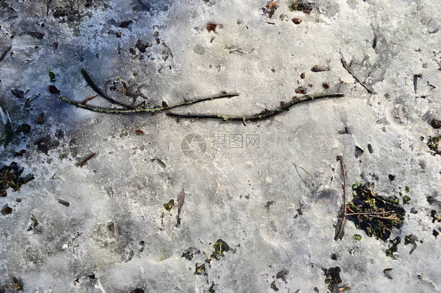 草地上融雪的质地图片