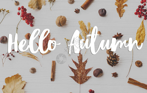 你好秋天的文字在秋天的叶子浆果橡子核桃肉桂和茴香上在白色背景图片