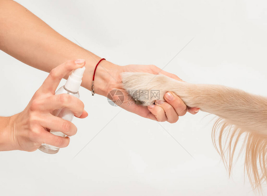 女孩手握狗爪图片