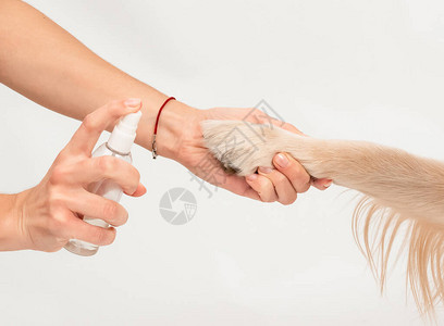 女孩手握狗爪图片