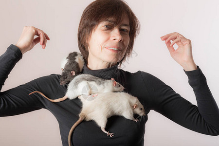 女家用老鼠的摄图片