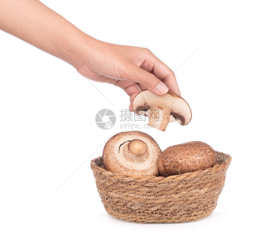 手持波尔托贝罗蘑菇在维杰篮子上孤图片