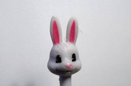 背景上的兔子表情特写图片