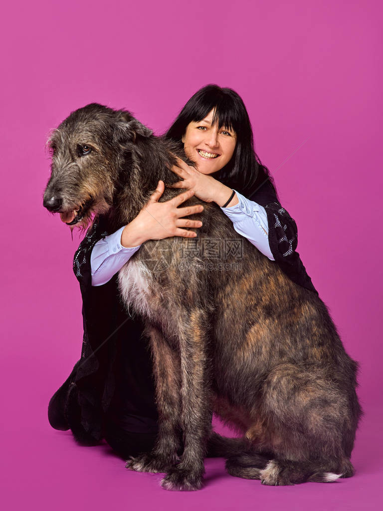 微笑快乐的黑发女人与灰色爱尔兰猎狼犬在照相馆的紫红色背景友谊爱情图片