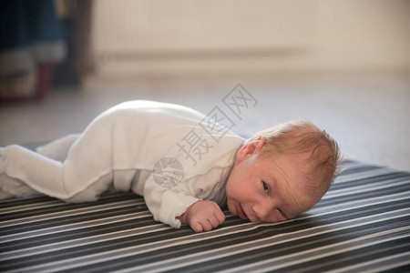 一个刚出生的婴儿躺在肚子上躺在条纹单色薄图片