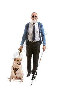 盲人成年男子与导盲犬在白色背景背景图片