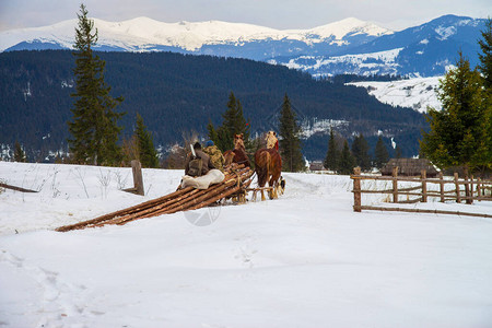 圆木在雪地里的马运输图片