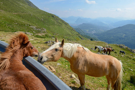 在瑞士阿尔卑斯山卢加诺上空卡普里亚斯卡山谷的一个高清图片